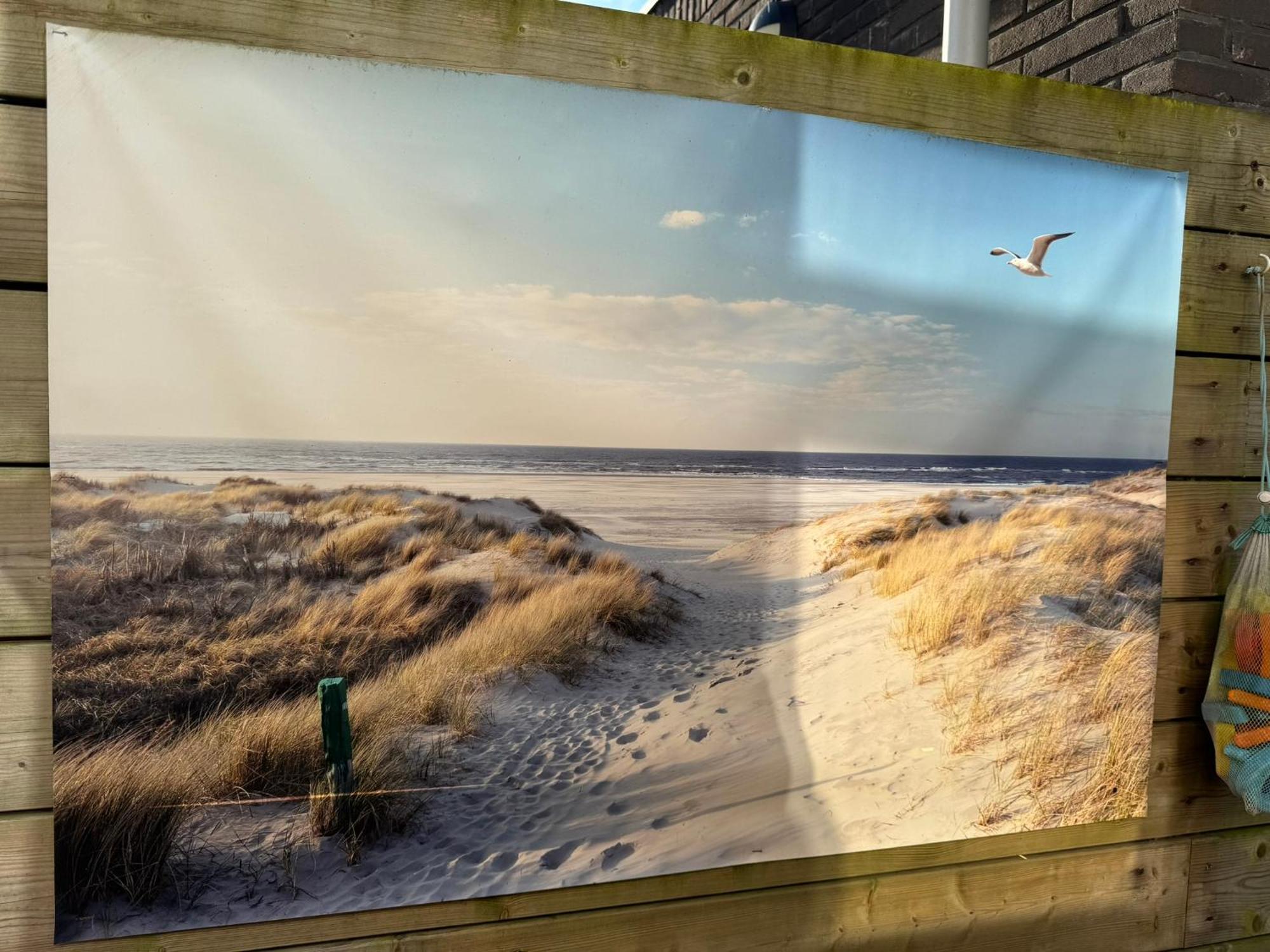 Coastal Dreaming Villa Egmond aan Zee Exteriör bild